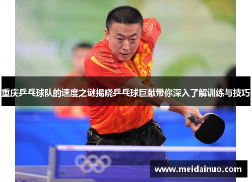 重庆乒乓球队的速度之谜揭晓乒乓球巨献带你深入了解训练与技巧