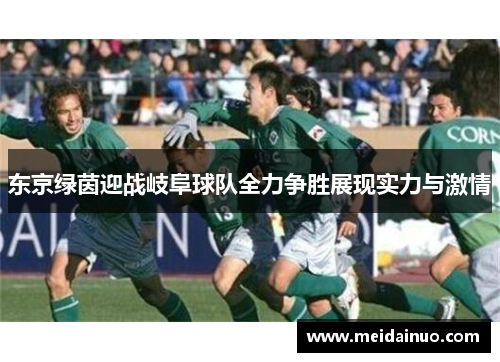 东京绿茵迎战岐阜球队全力争胜展现实力与激情