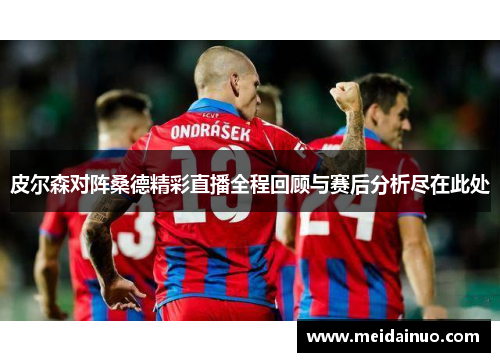 皮尔森对阵桑德精彩直播全程回顾与赛后分析尽在此处