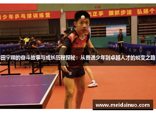 田宇翔的奋斗故事与成长历程探秘：从普通少年到卓越人才的蜕变之路